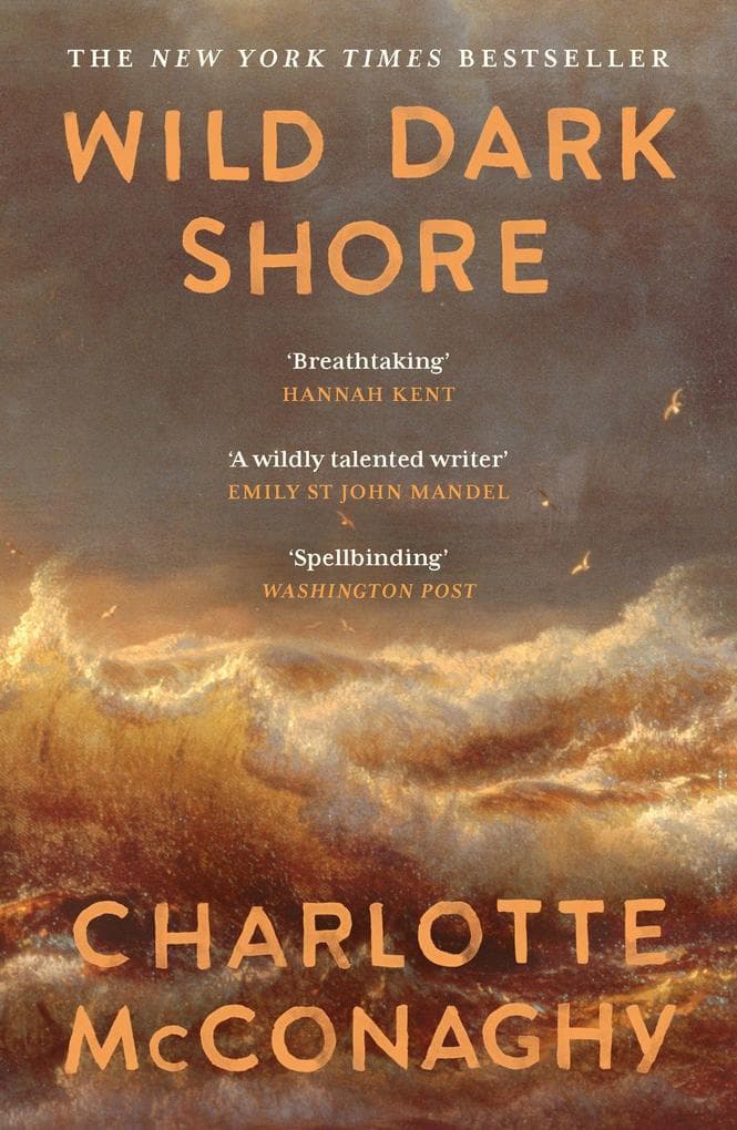 Wild Dark Shore