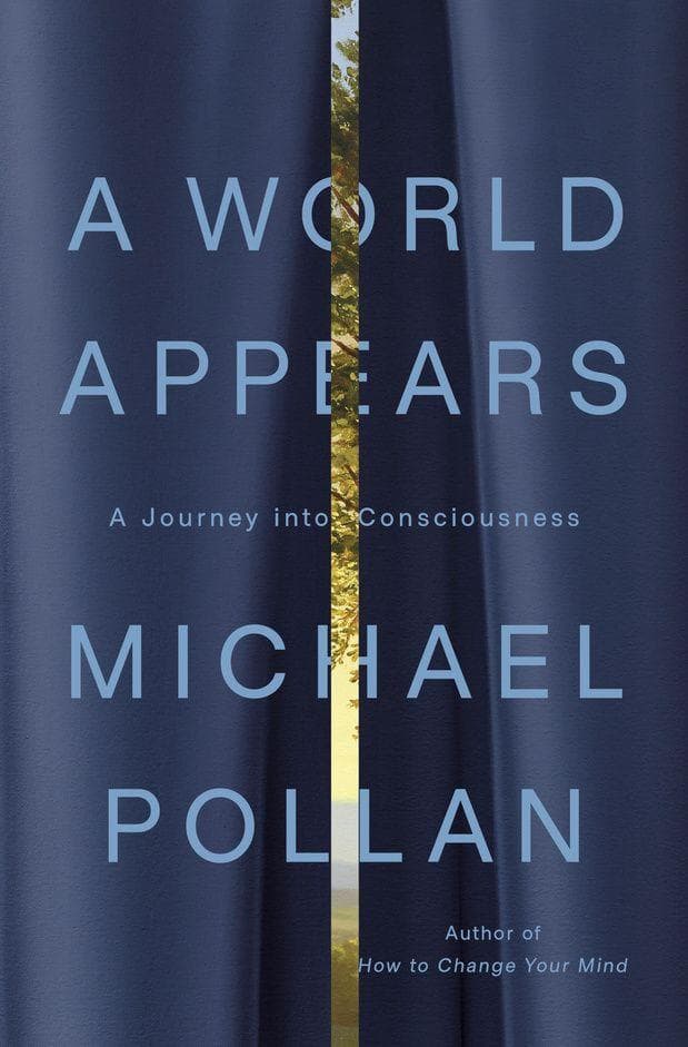 A World Appears
