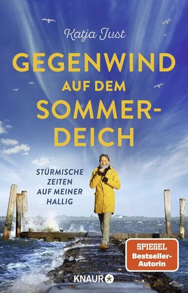 Gegenwind auf dem Sommerdeich