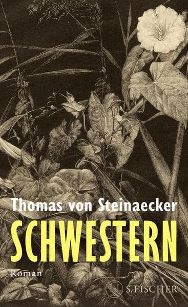 Schwestern