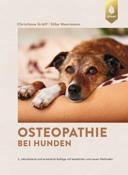 Osteopathie bei Hunden